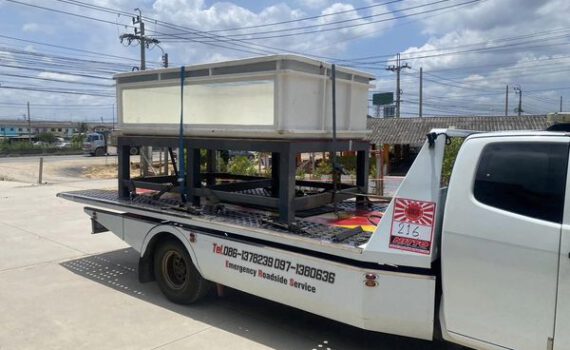 367486848 747776987360821 5576471796791278485 n