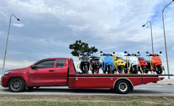 379104822 768748021930384 4263133283143930345 n