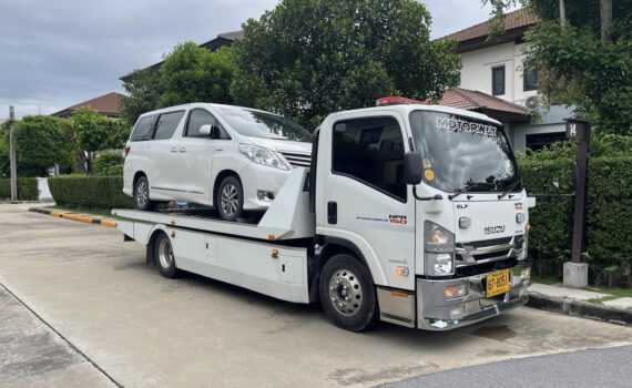 379993539 768774535261066 7370731337443776759 n