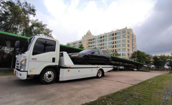 273952154 324211189653270 1926455149122617344 n