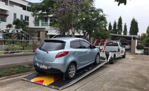 274138529 325344279539961 4658029900883964276 n