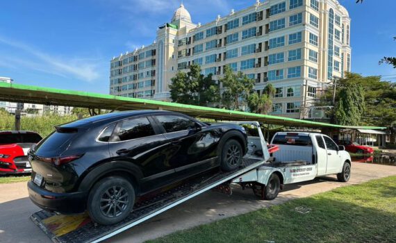 398419546 798411892297330 2604617585667176763 n