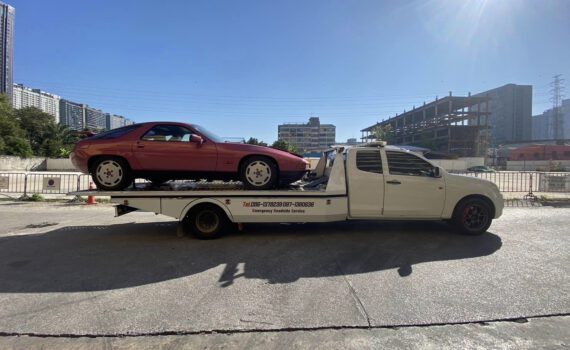 414397442 834641502007702 6349631795642237336 n