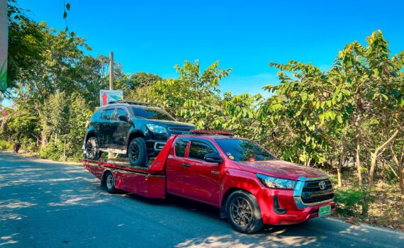 421306904 850367463768439 6218195467384563221 n