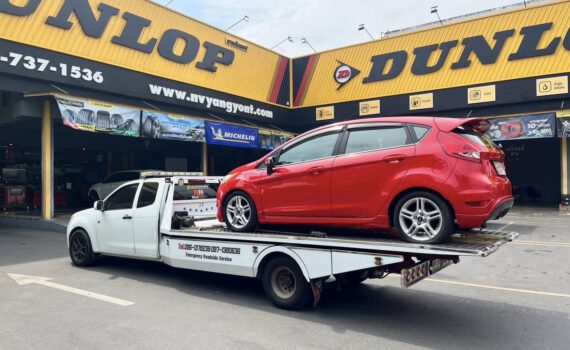 424643891 856688966469622 6830682210064291695 n