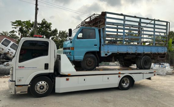 425492579 860126306125888 7598780076826171480 n