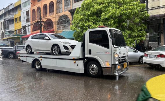 445701376 935001955304989 7722027835315238439 n