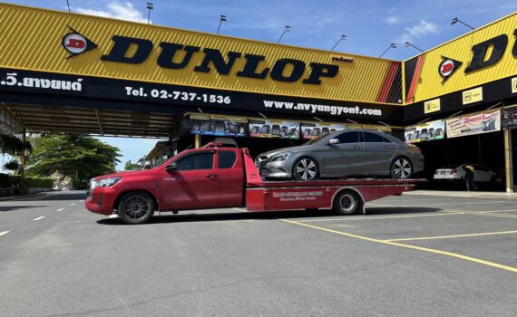 449381634 955586373246547 6005448829621609786 n