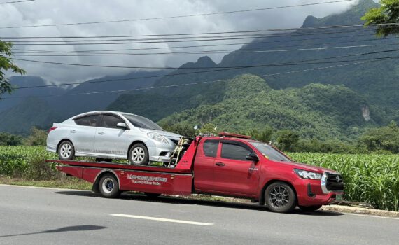 449382872 956136116524906 7106928245690775984 n