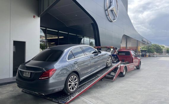 449696731 957565316381986 8678886403993361347 n