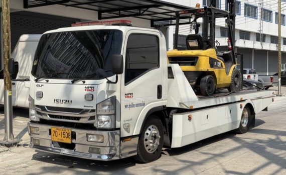 475915461 1116402523831597 1794303774033695457 n