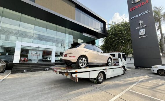 481254147 1142391431232706 6229029814200306605 n