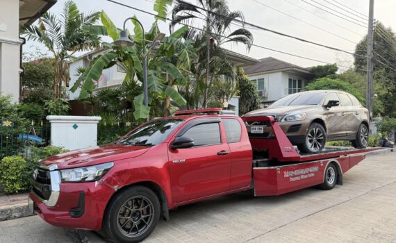 487323184 1163061289165720 1245842064768978485 n