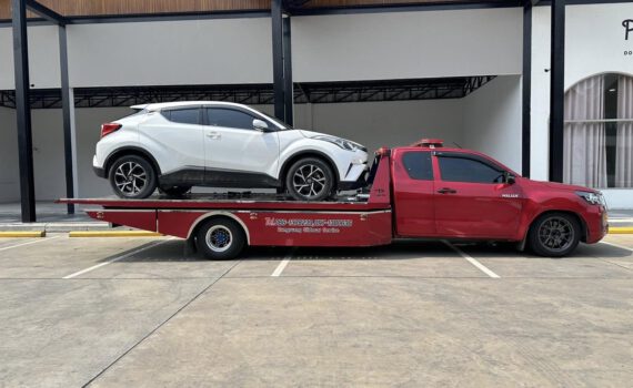 488659502 1166455232159659 5808823378982599706 n