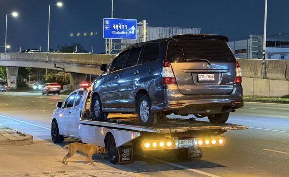 492534043 1181287040676478 7849541080888707307 n