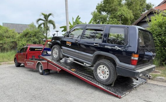 495458784 1193109069494275 842689537206432306 n