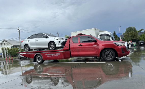 497454449 1199938165478032 1502682546355398879 n