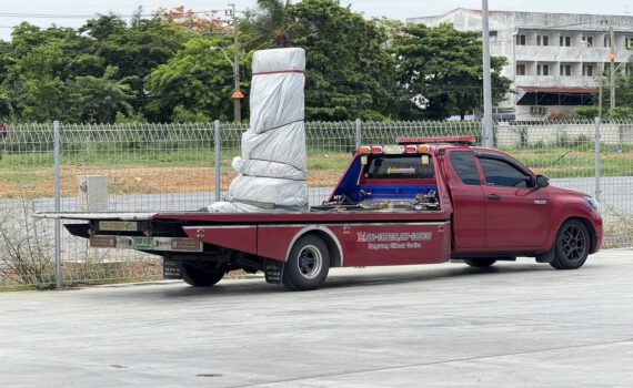 500644896 1209621697843012 5326280349463131546 n