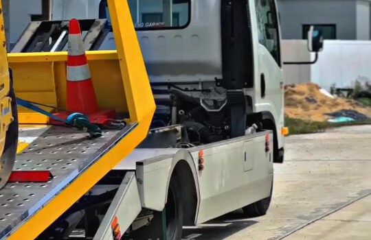 502826002 1235071045295864 1363352386800741207 n