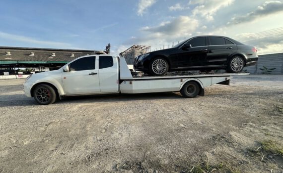 508837088 1225260269612488 3371599864377918819 n