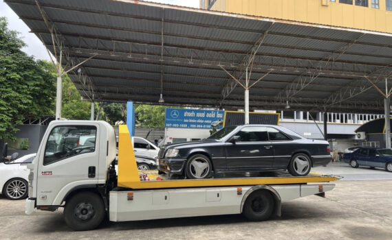 517403151 1246789114126270 4567259755371013211 n