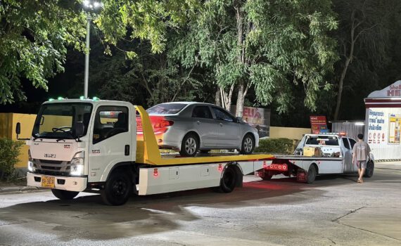 525957247 1261041816034333 6250861902691534466 n