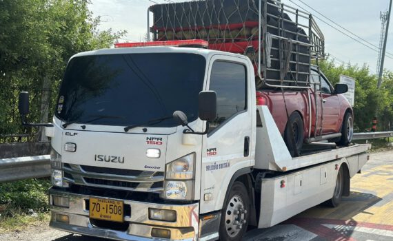 530964832 1274203964718118 9124279395751003301 n