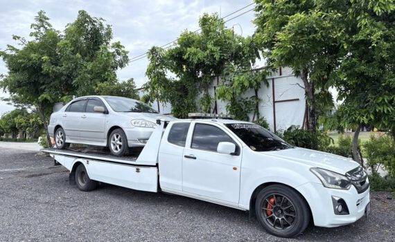 531946212 1274208064717708 2982888124272795382 n