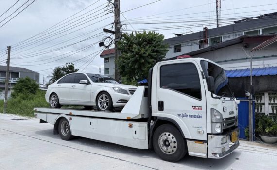 542222237 1290760829729098 2350388086876560626 n