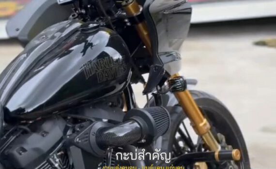 544817500 1598291214471018 8211476503754327472 n