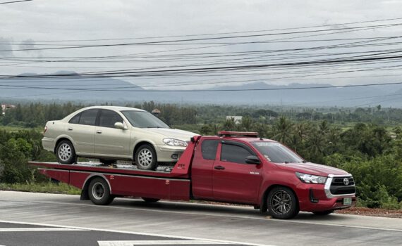 545010711 1295844249220756 5596839892923925793 n