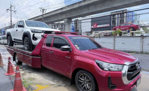 548804387 1307224941416020 5972060069311203670 n