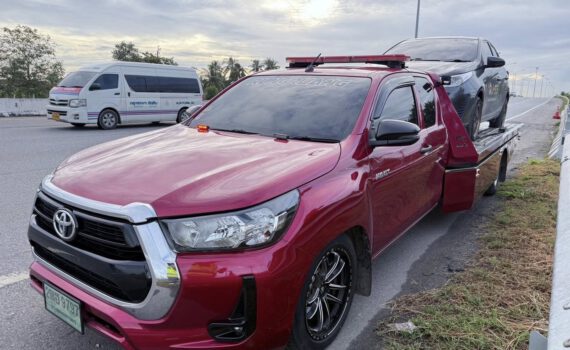 553362612 1311286201009894 8769860818856741736 n