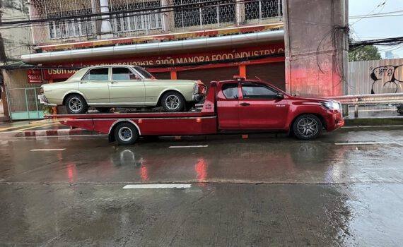 556098362 1314973250641189 1513005401088935734 n