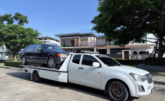 558142955 1320793823392465 5223752056071405782 n