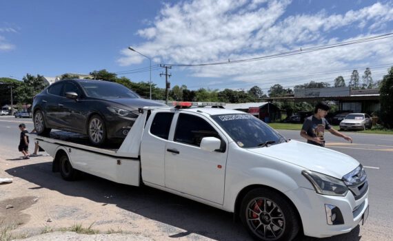 558576583 1323994596405721 2383860703746425030 n