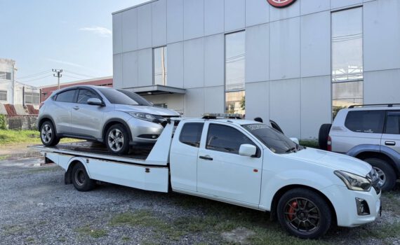 558644839 1328284985976682 8014882697671915021 n