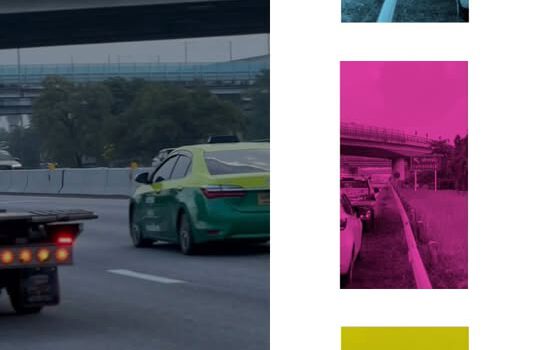 561297410 1134730551435945 2069211370778828036 n