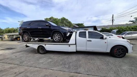 562183732 1335978755207305 3423470970436003364 n