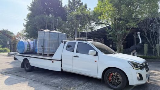 592346567 1372319984906515 929392619521686023 n