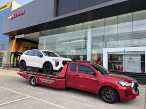 ฮาแวสสีขาว