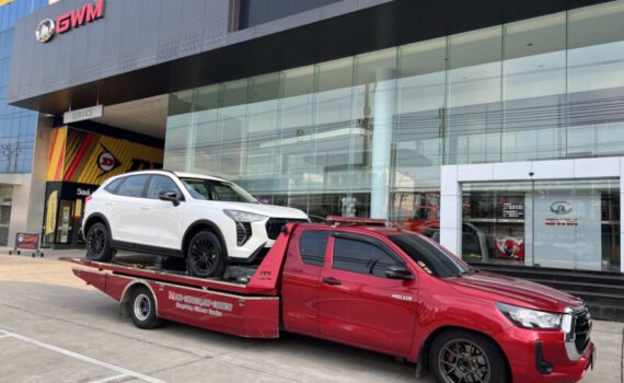 ฮาแวสสีขาว