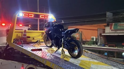 665591664 1484760383662474 5529840217520984425 n