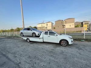 668915960 1488032990001880 3489073020640821450 n