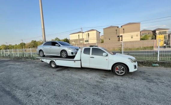 668915960 1488032990001880 3489073020640821450 n