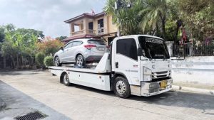 672688101 1493113392827173 773126206115999050 n